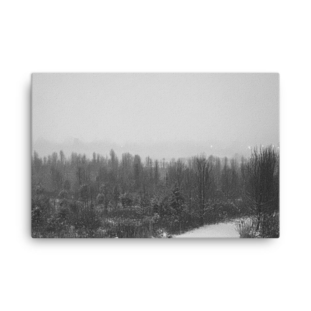 Snowy Path Canvas