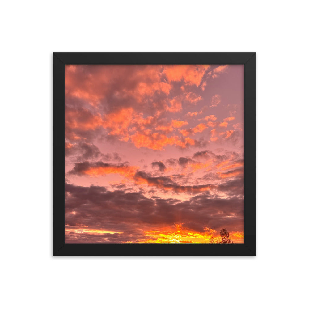 Pink & Purple Sunset Framed photo paper poster