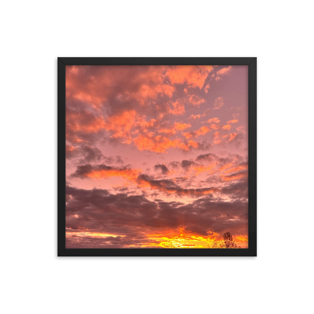 Pink & Purple Sunset Framed photo paper poster