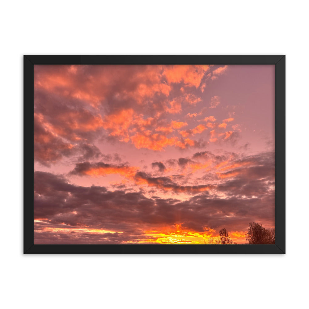 Pink & Purple Sunset Framed photo paper poster