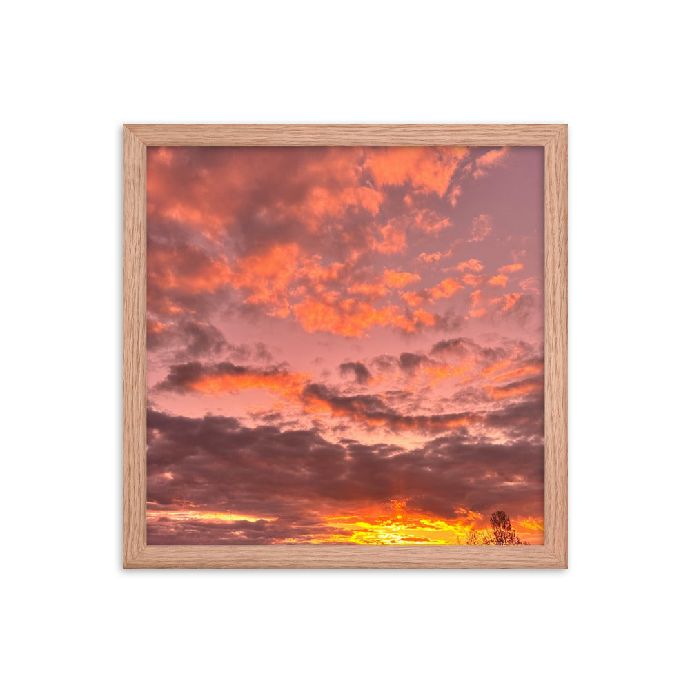 Pink & Purple Sunset Framed photo paper poster