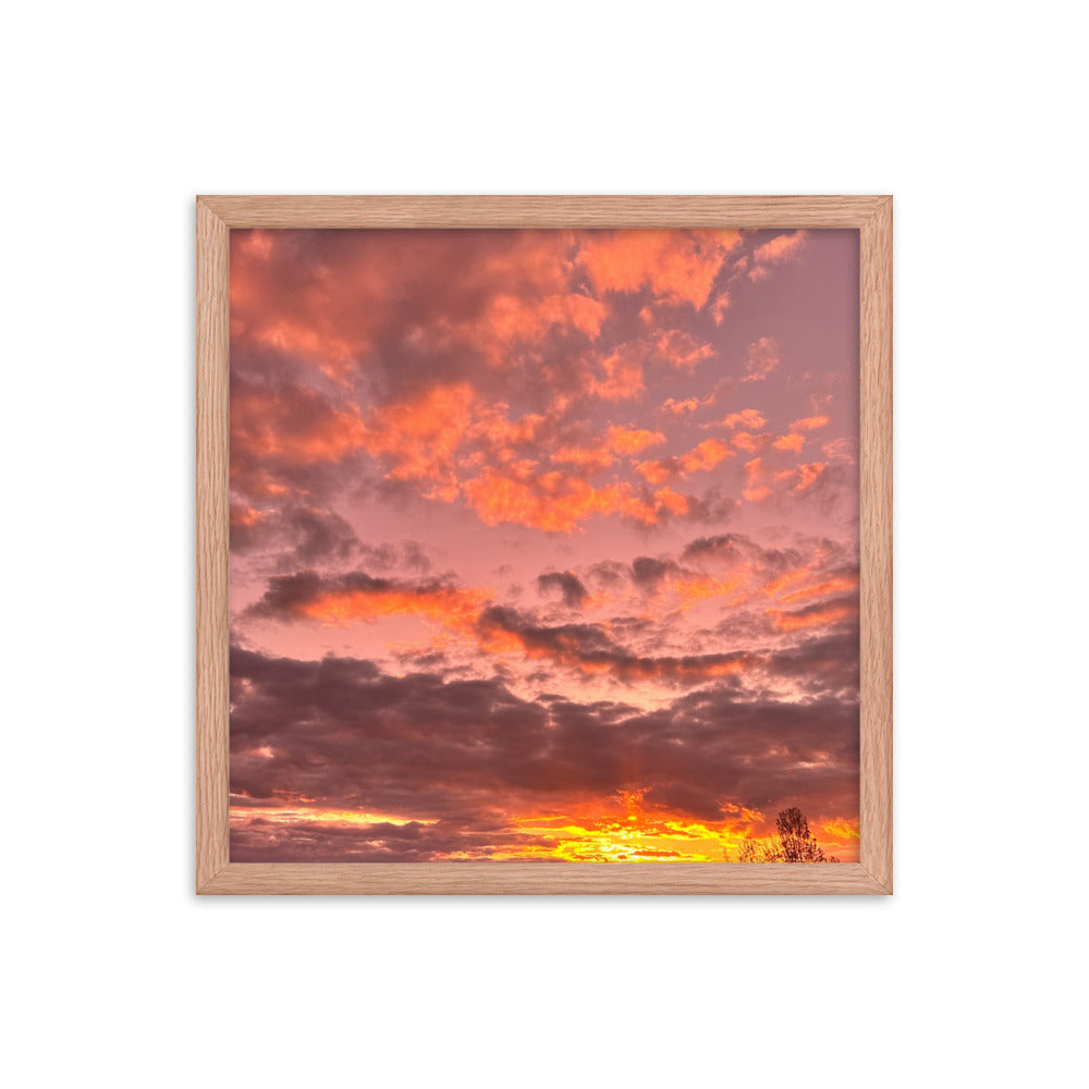 Pink & Purple Sunset Framed photo paper poster