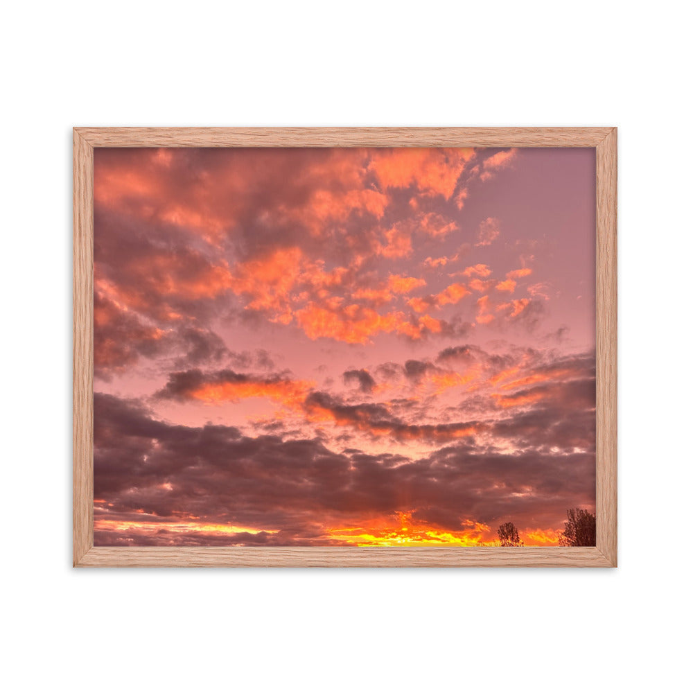 Pink & Purple Sunset Framed photo paper poster