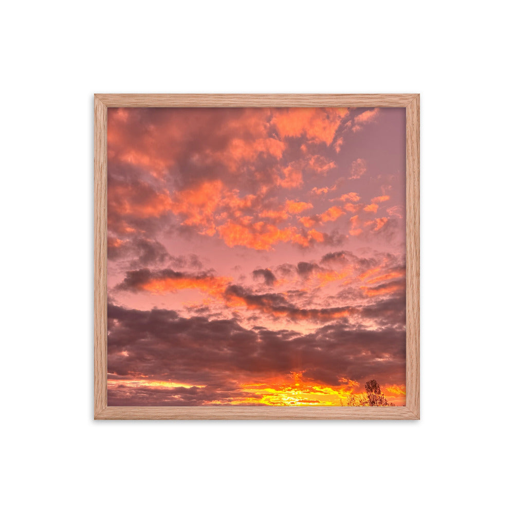 Pink & Purple Sunset Framed photo paper poster